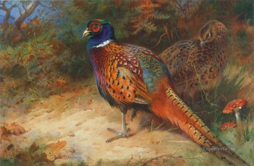  under Oil Painting - cock and hen pheasant in the undergrowth 1927 birds